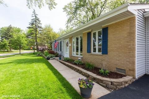 25 Birch Trl, Wheeling, IL 60090 photo 3