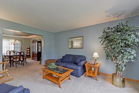 24317 Eagle Chase Dr, Plainfield, IL 60544 photo 10
