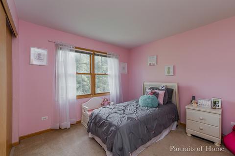 24317 Eagle Chase Dr, Plainfield, IL 60544 photo 19