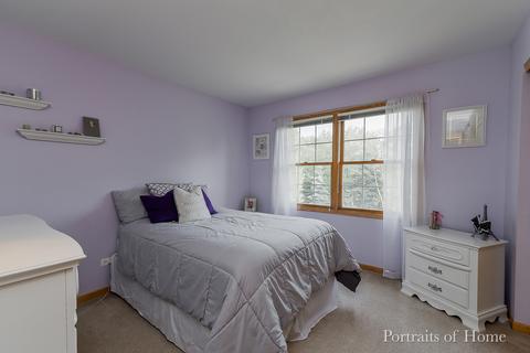 24317 Eagle Chase Dr, Plainfield, IL 60544 photo 21