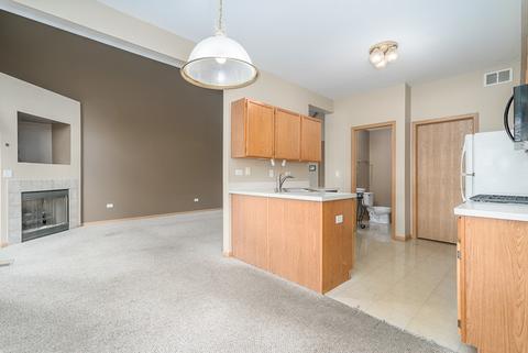 2510 Oak Tree Ln, Plainfield, IL 60586 photo 8