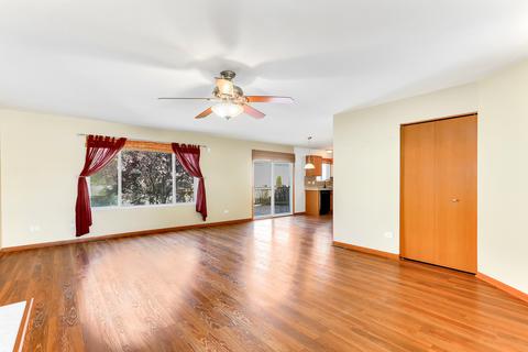 1713 Baring Ridge Dr, Plainfield, IL 60586 photo 4