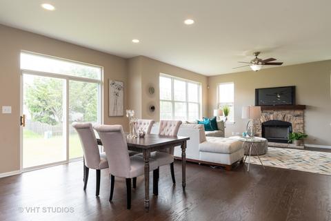 13532 Marigold Rd, Plainfield, IL 60544 photo 9
