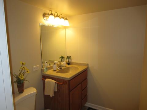 24527 Brooklands Ln, Plainfield, IL 60585 photo 36