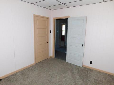 306 N 4th St, Cornell, IL 61319 photo 28