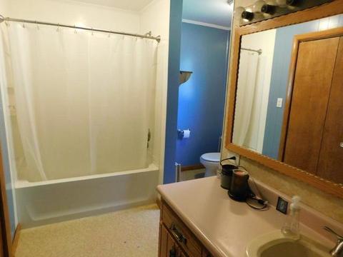 306 N 4th St, Cornell, IL 61319 photo 17