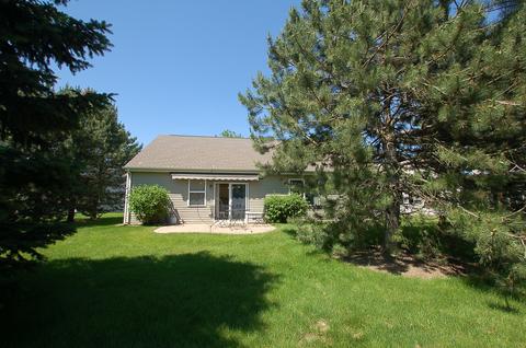 13620 Redbud Ct, Plainfield, IL 60544 photo 19