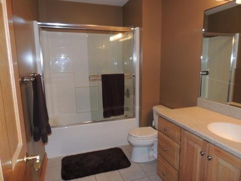 4484 Mitchell Ct, Plano, IL 60545 photo 18