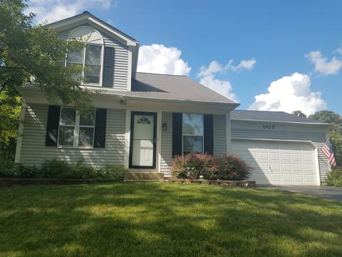 1025 Meghan Ave, Algonquin, IL 60102 photo 1