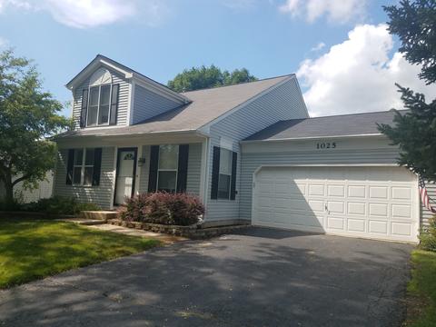 1025 Meghan Ave, Algonquin, IL 60102 photo 2