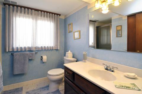 141 E Millers Rd, Des Plaines, IL 60016 photo 17