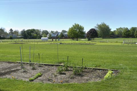 141 E Millers Rd, Des Plaines, IL 60016 photo 21