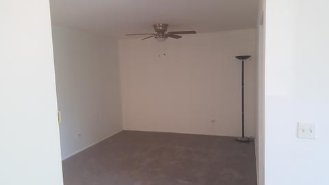 1575 Sandpebble Dr #333, Wheeling, IL 60090 photo 30