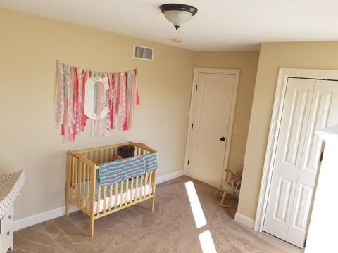 523 Autumnwolf Dr, Davis Junction, IL 61020 photo 25