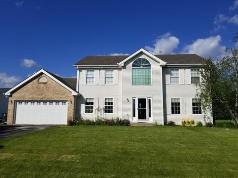523 Autumnwolf Dr, Davis Junction, IL 61020 photo 1