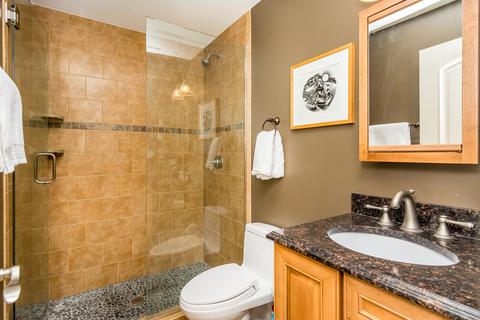 310 Gale Ave, River Forest, IL 60305 photo 55