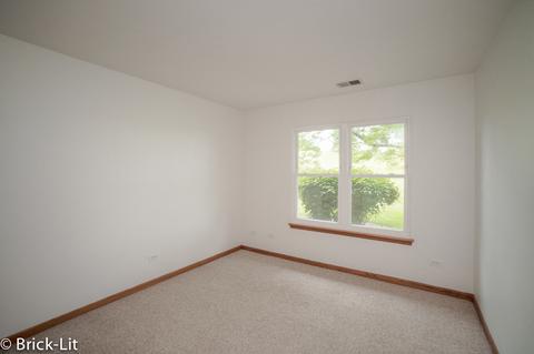 9206 W Pullman Ct, Mokena, IL 60448 photo 21