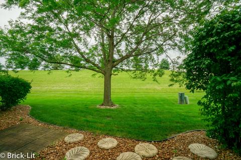 9206 W Pullman Ct, Mokena, IL 60448 photo 3