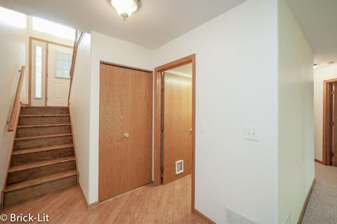 9206 W Pullman Ct, Mokena, IL 60448 photo 19