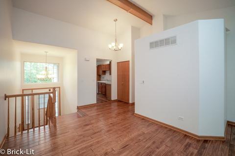 9206 W Pullman Ct, Mokena, IL 60448 photo 6