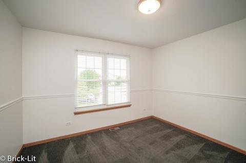 9206 W Pullman Ct, Mokena, IL 60448 photo 17