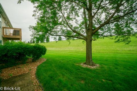 9206 W Pullman Ct, Mokena, IL 60448 photo 4