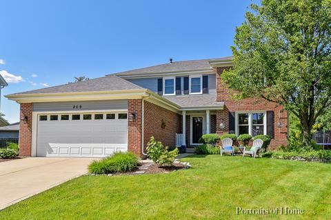 809 Bruno Ct, Naperville, IL 60563 photo 1
