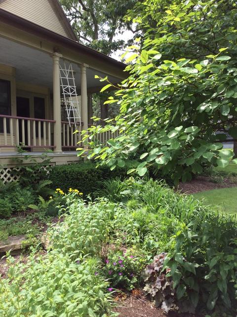 112 Oak St, Spring Valley, IL 61362 photo 39