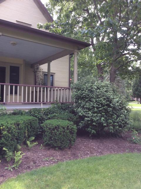112 Oak St, Spring Valley, IL 61362 photo 41