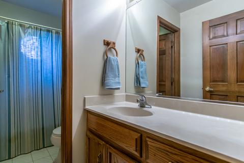 13238 Vicky St, Plainfield, IL 60585 photo 28