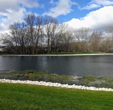 433 Willow Rd, Lakemoor, IL 60051 photo 19