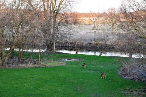 23545 Ford Rd, Minooka, IL 60447 photo 20
