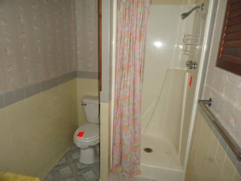 309 N Walnut St, Arrowsmith, IL 61722 photo 12