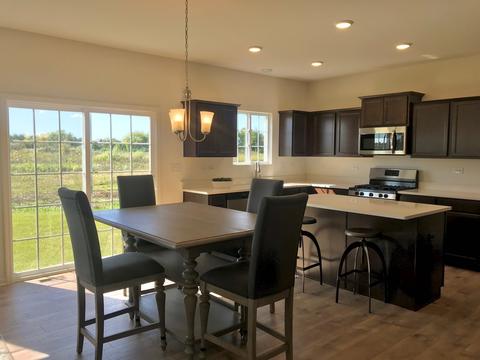 25433 W Ryan Ln, Plainfield, IL 60586 photo 6