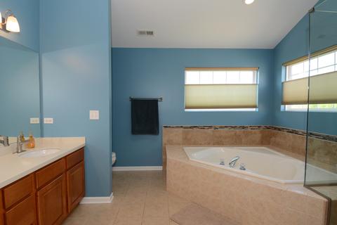 79 Durango Ct, Gilberts, IL 60136 photo 27