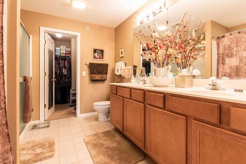 640 Mill Cir #204, Wheeling, IL 60090 photo 13