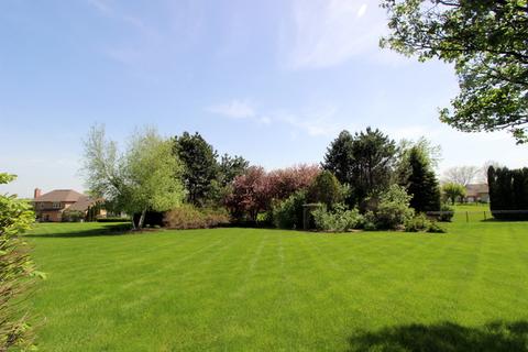 3541 Bunker Hill Dr, Algonquin, IL 60102 photo 23