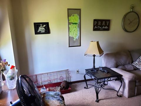 326 E 2nd St, Byron, IL 61010 photo 26