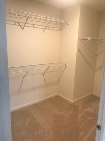 27121 Ashgate Xing, Plainfield, IL 60585 photo 9