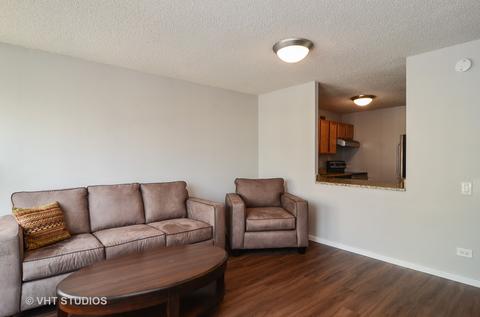 30 E Huron St #1608, Chicago, IL 60611 photo 5