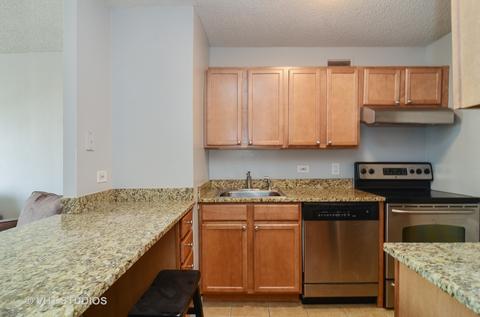 30 E Huron St #1608, Chicago, IL 60611 photo 3