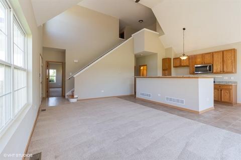 256 Sunset Blvd, Beecher, IL 60401 photo 10