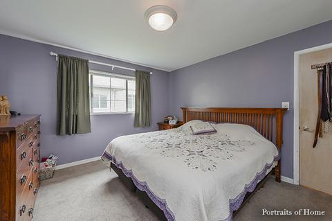 520 E 8th Ave, Naperville, IL 60563 photo 20