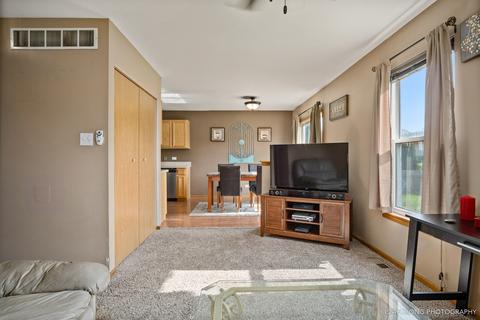 1301 Bluejay Ln, Plainfield, IL 60586 photo 10