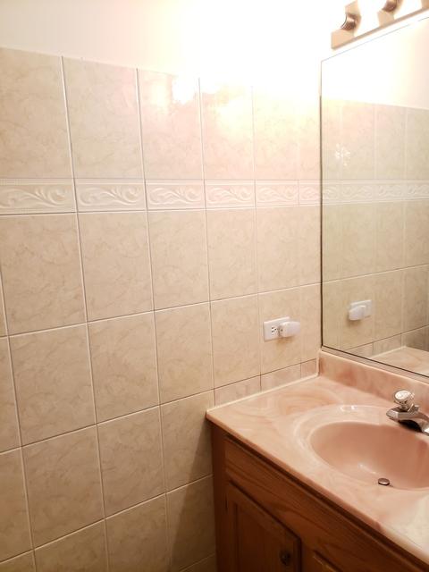 735 Brookvale Dr #D, Wheeling, IL 60090 photo 12