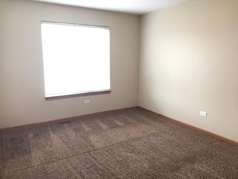 2614 Vision Ave, Plainfield, IL 60586 photo 12
