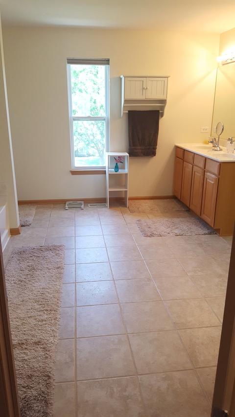 976 Griffith Ave, Elburn, IL 60119 photo 17