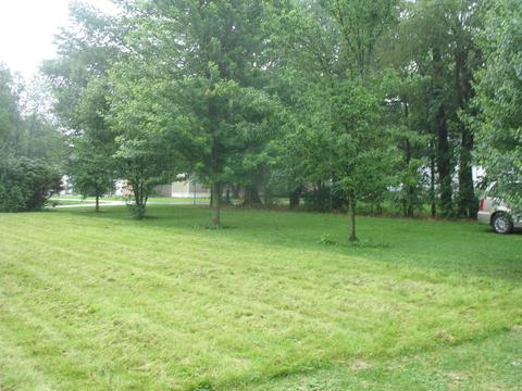 401 Chicago St, Dewitt, IL 61735 photo 5