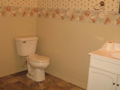 401 Chicago St, Dewitt, IL 61735 photo 23