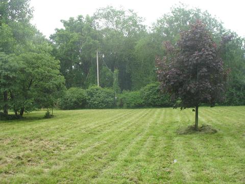 401 Chicago St, Dewitt, IL 61735 photo 6
